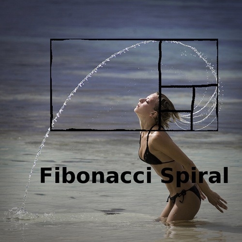 fibonacci-spiraal