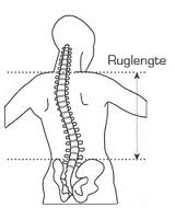 ruglengte